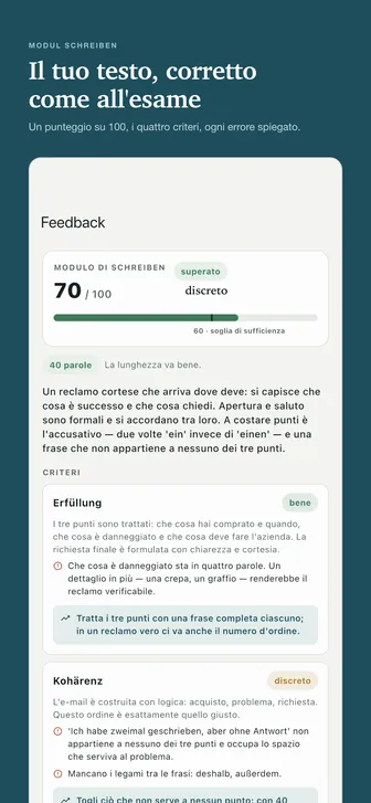 Il tuo testo, corretto come all'esame — Un punteggio su 100, i quattro criteri, ogni errore spiegato.