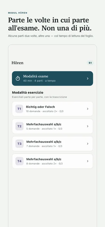 Parte le volte in cui parte all'esame. Non una di più. — Alcune parti due volte, altre una — col tempo di lettura del foglio.